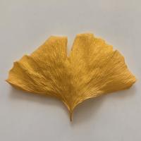 Ginkgo